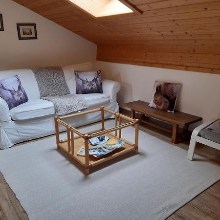 Ferienwohnung Franzi ガルミッシュ・パルテンキルヒェン エクステリア 写真
